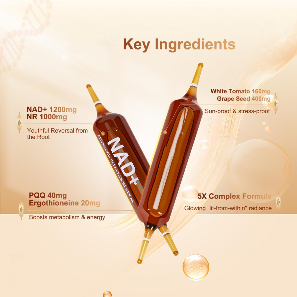 ผลิตภัณฑ์เสริมอาหารชนิดน้ำ NAD+ 1200 มก. ผสมนิโคตินาไมด์ไรโบไซด์, PQQ และสารสกัดจากเมล็ดองุ่น เพื่อเพิ่มพลังชีวิตของเซลล์ กระตุ้นการเผาผลาญพลังงาน และต้านอนุมูลอิสระ – 10 ขวด